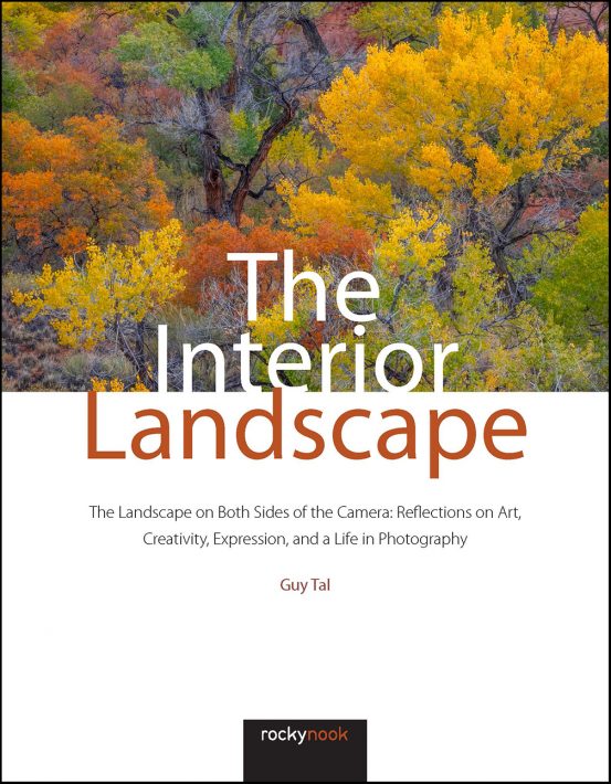 INTERIOR LANDSCAPE