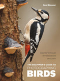 BEGINNER’S GUIDE TO PHOTOGRAPHING BIRDS