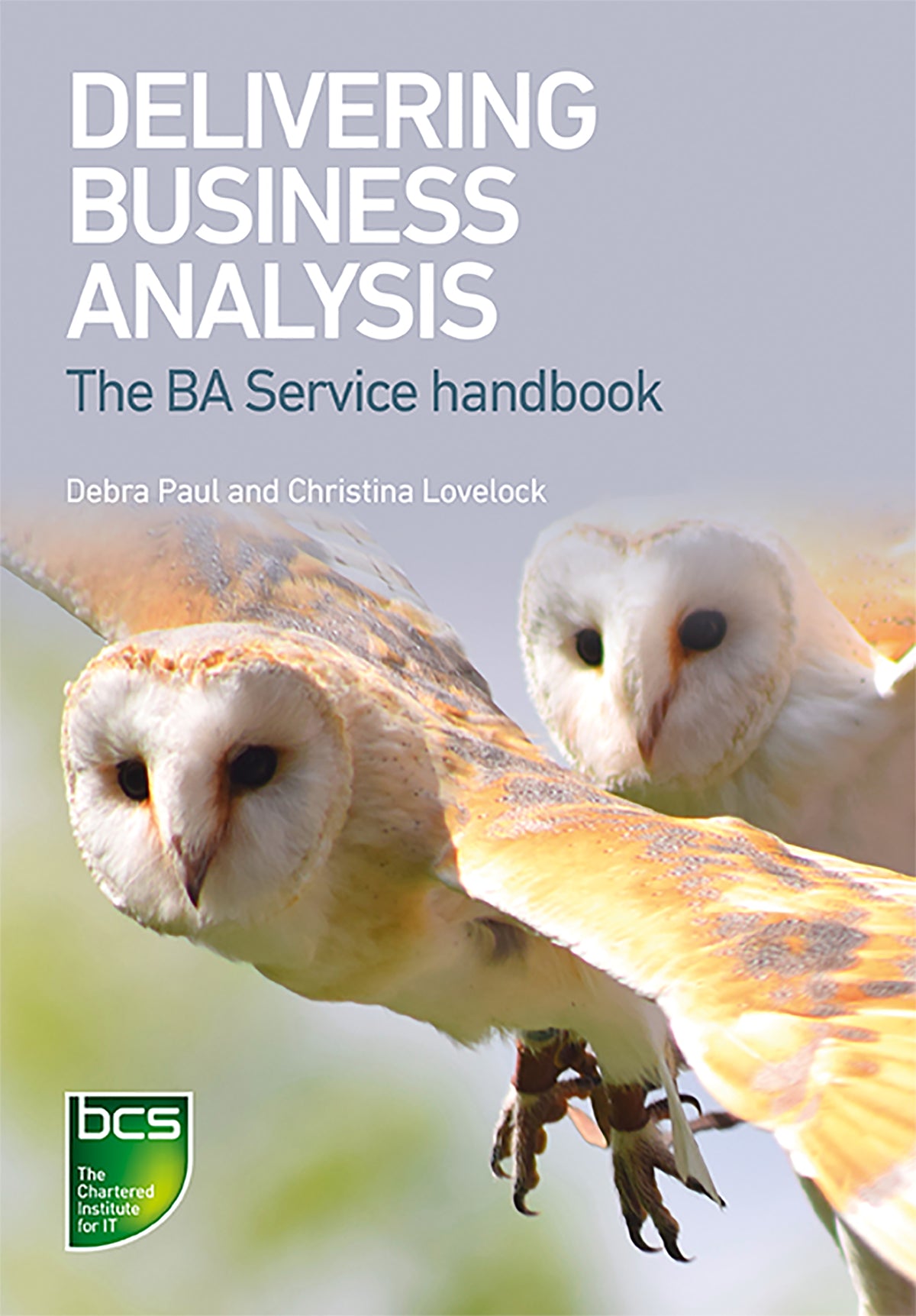 Delivering Business Analysis The BA Service handbook (Paperback)