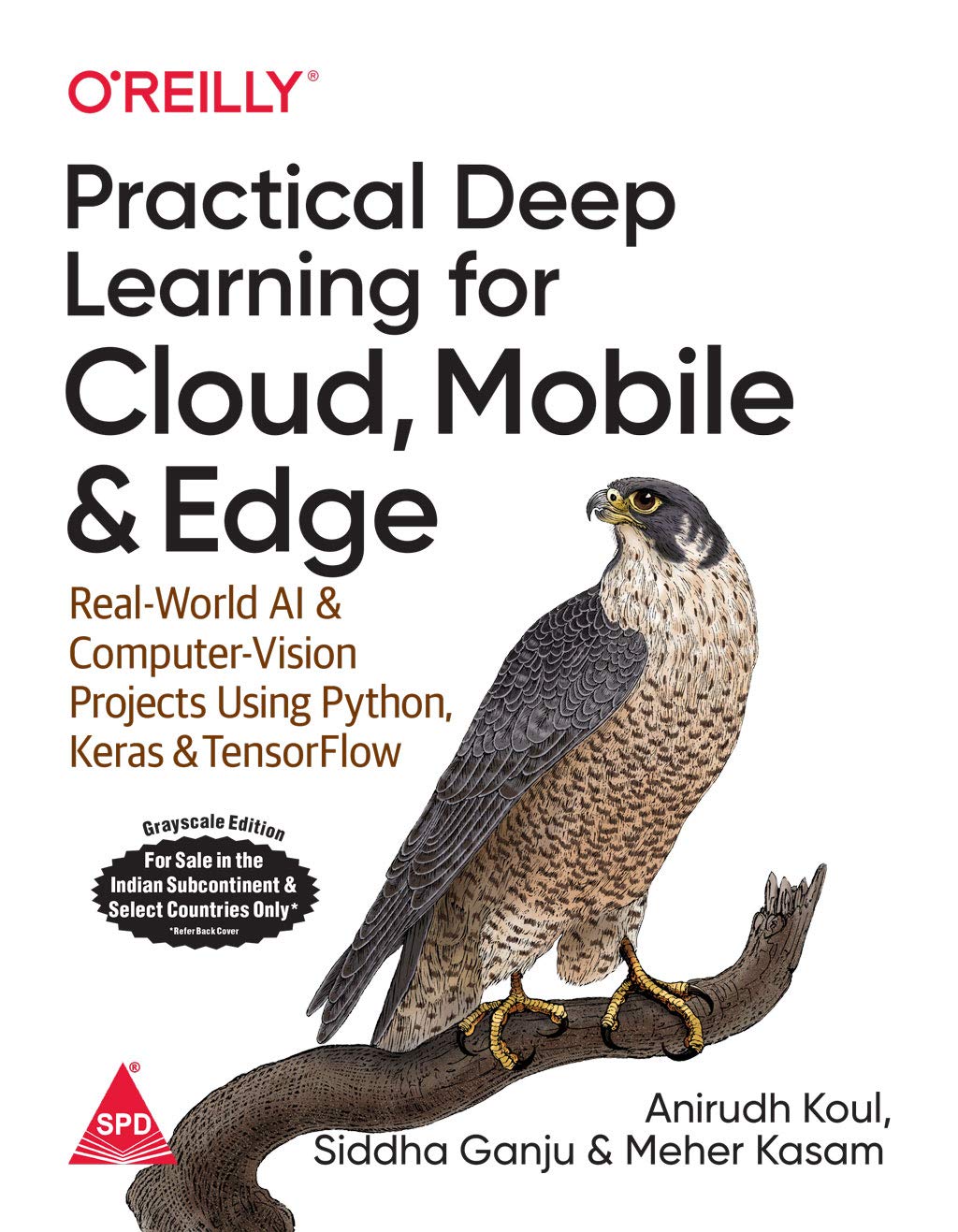 Practical Deep Learning for Cloud, Mobile, and Edge (Paperback)