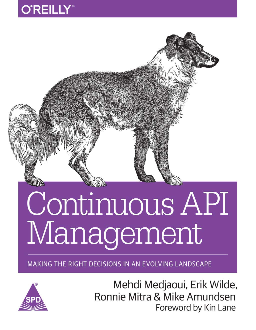 Continuous API Management: Making the Right Decisions in an Evolving Landscape (Paperback)