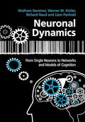 Neuronal Dynamics
