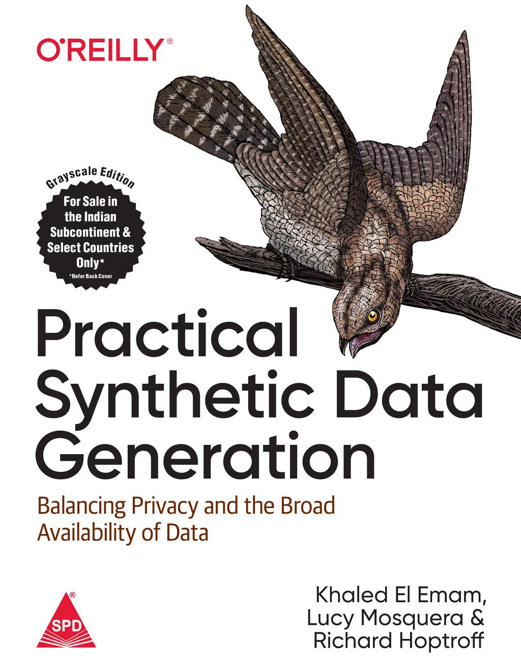 Practical Synthetic Data Generation: Balancing Privacy and the Broad Availability of Data (Paperback)