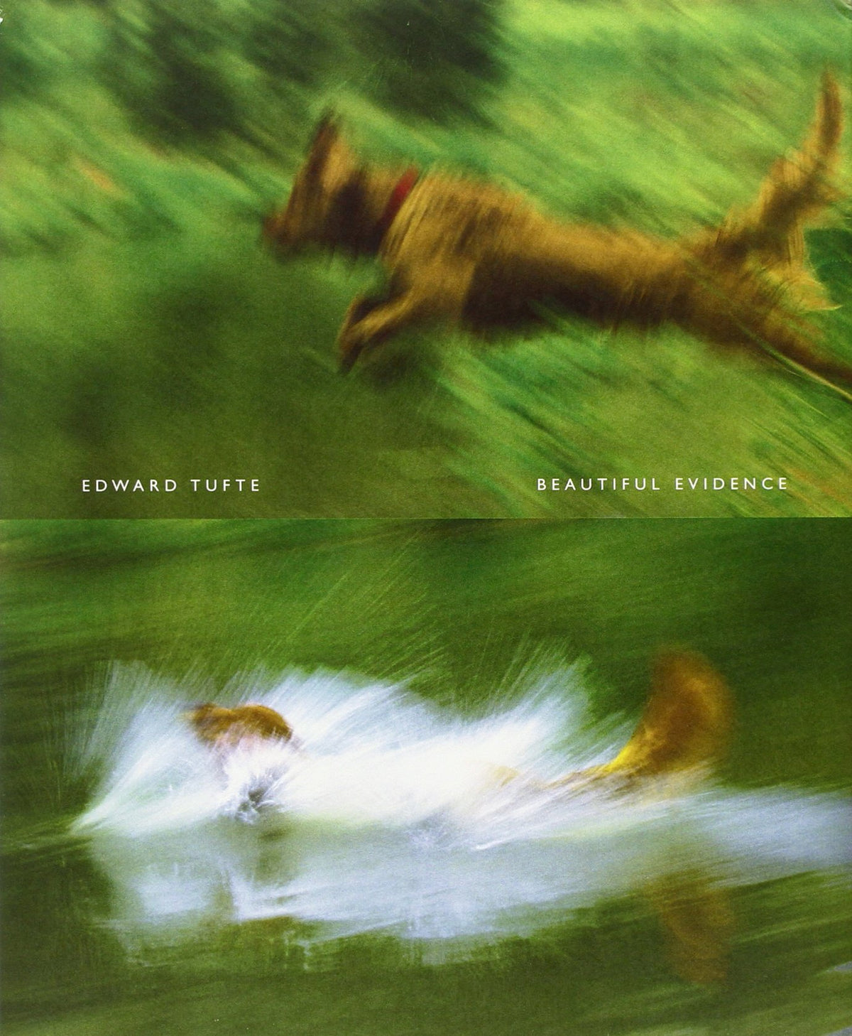 Beautiful Evidence (Paperback)