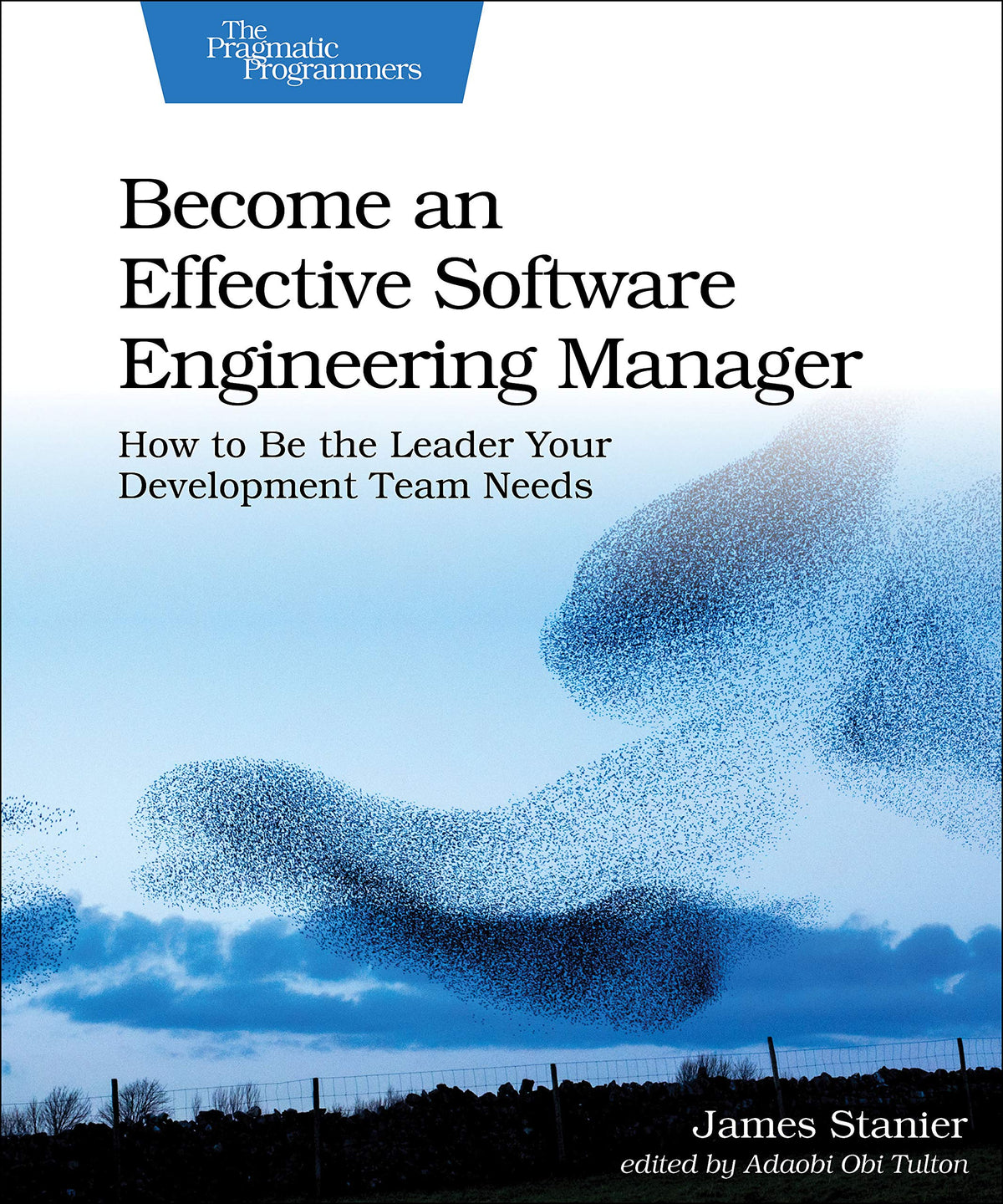 Become an Effective Software Engineering Manager: How to Be the Leader Your Development Team Needs (Paperback)