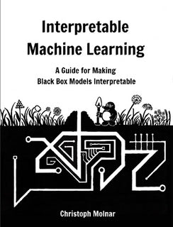 Interpretable Machine Learning A Guide for Making Black Box Models Interpretable (Paperback)