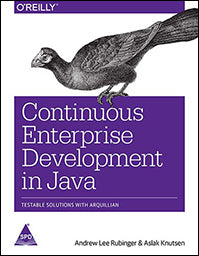 Continuous Enterprise Development in Java