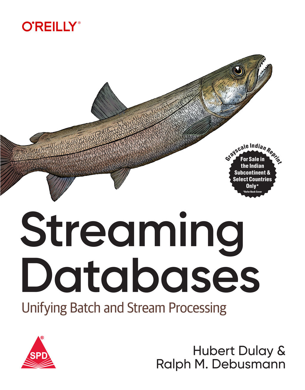 Streaming Databases