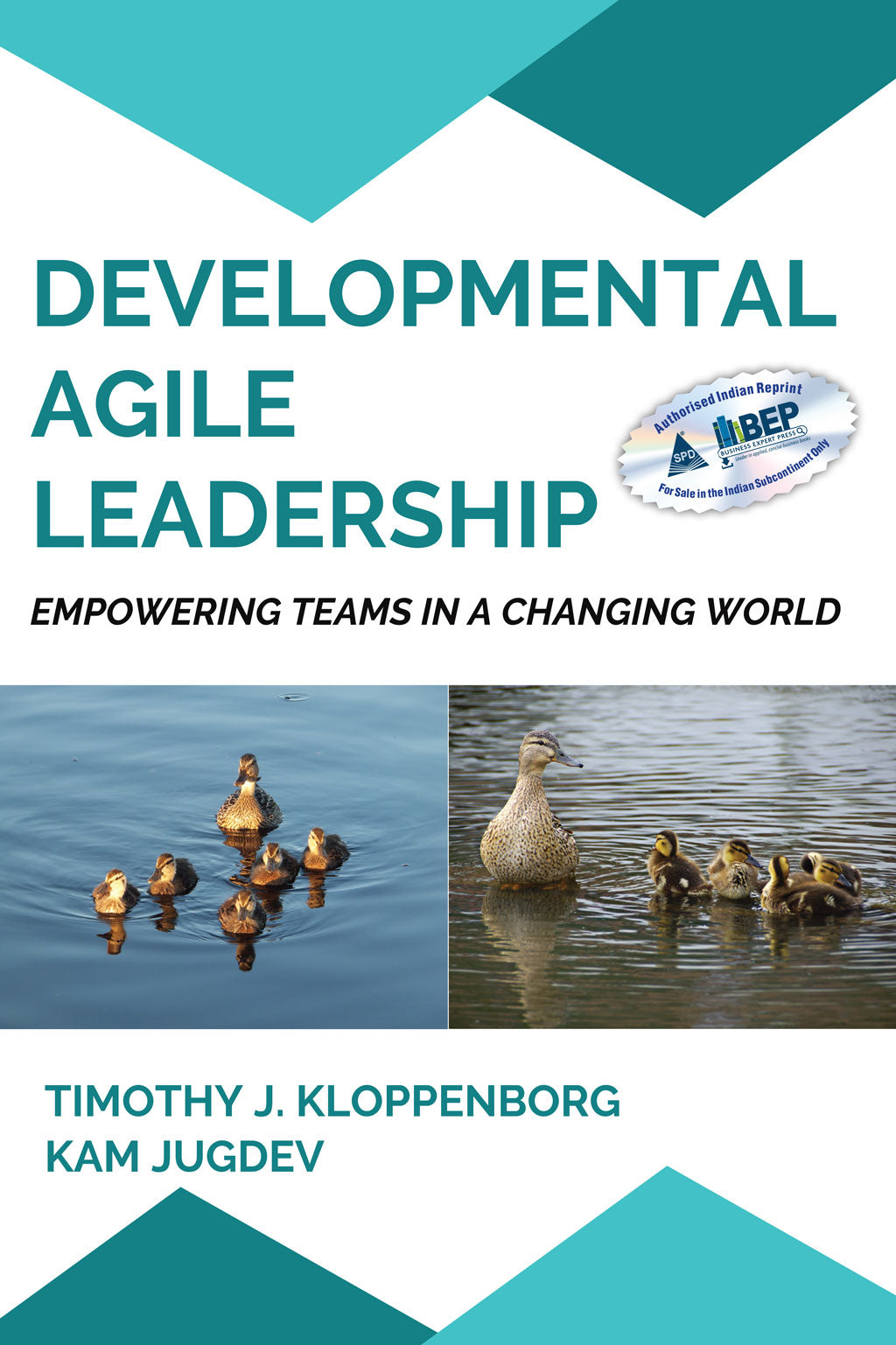Developmental Agile Leadership