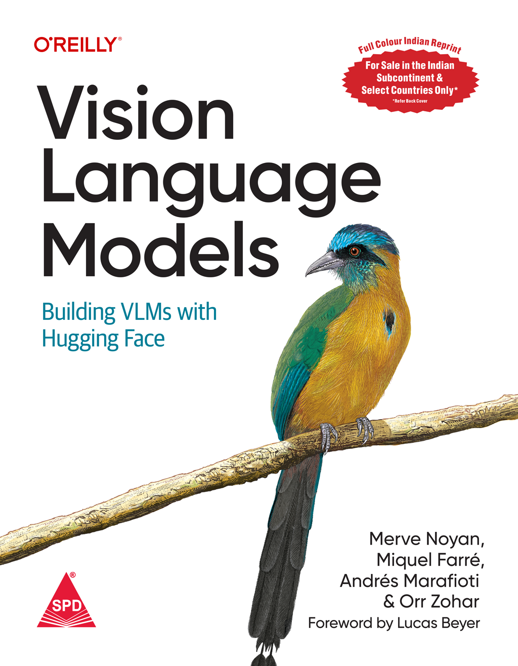 Vision Language Models