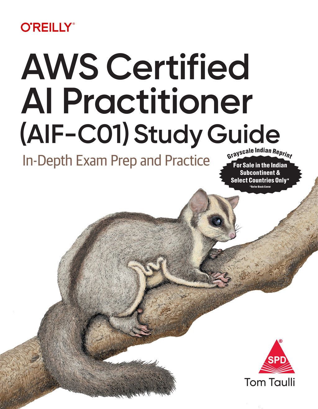 AWS Certified AI Practitioner (AIF-C01) Study Guide