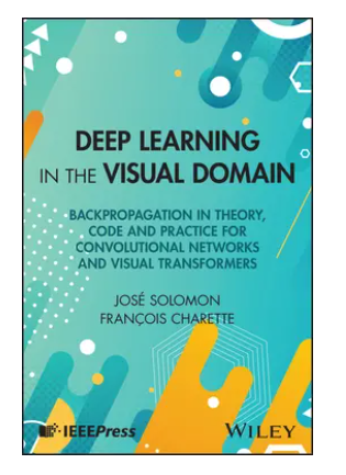 Deep Learning in the Visual Domain