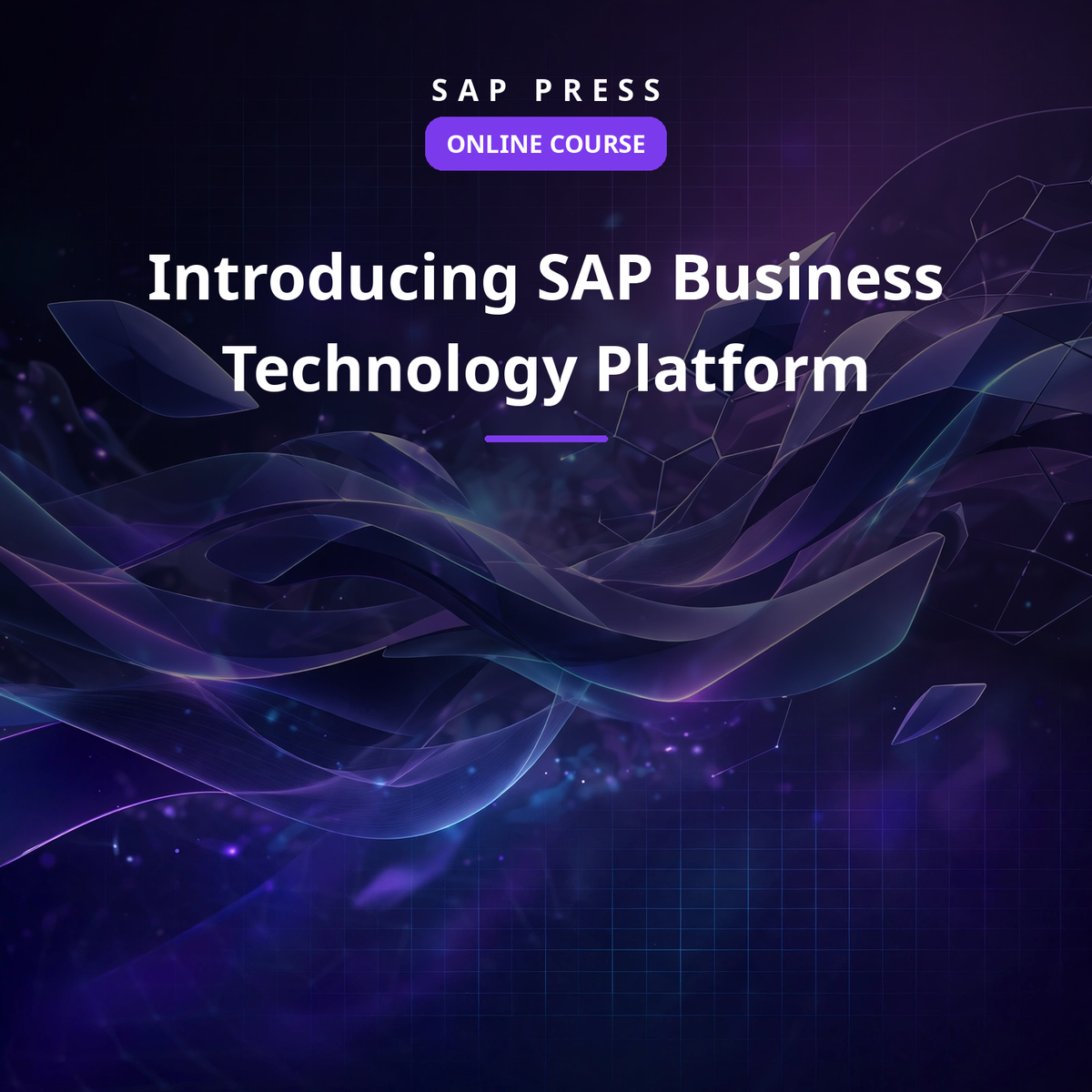 Introducing SAP Business Technology Platform (Online Course)