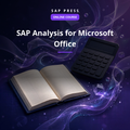 SAP Analysis for Microsoft Office (Online Course)