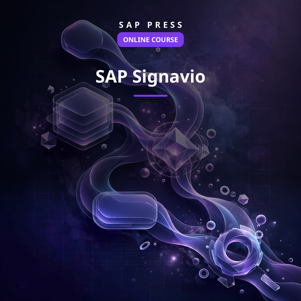 SAP Signavio (Online Course)