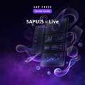 SAPUI5 (Online Course)