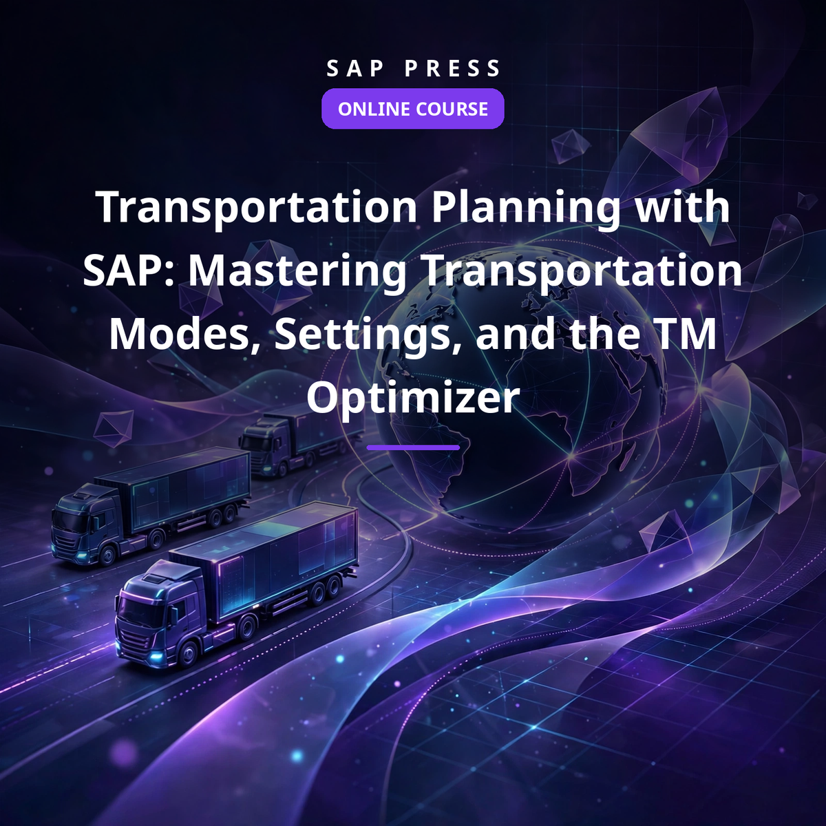 Transportation Planning with SAP:  Mastering Transportation Modes, Settings, and the TM Optimizer (Online Course)